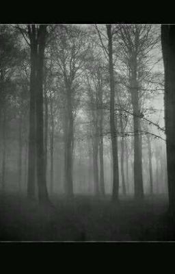 Встреча с ним...