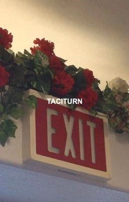 taciturn :; luke hemmings