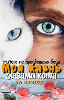 Моя жизнь глазами кота