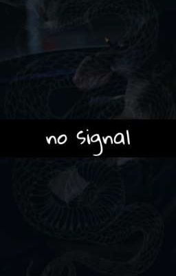 no signal