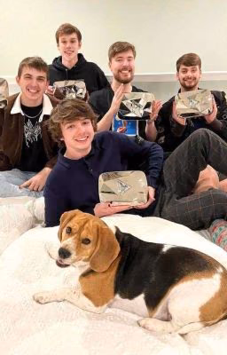 Реакция MrBeast на тебя