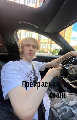 Прекрасная жизнь