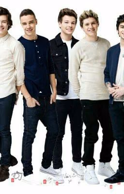 Меня удочерили One Direction.