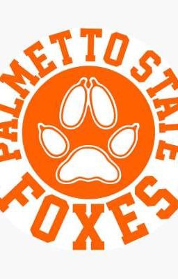 восхождение новых звезд