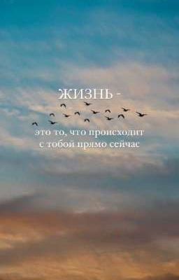 🌱Жизнь🪵