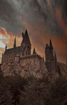 Красота в глазах смотрящего||||| Фред Уизли 