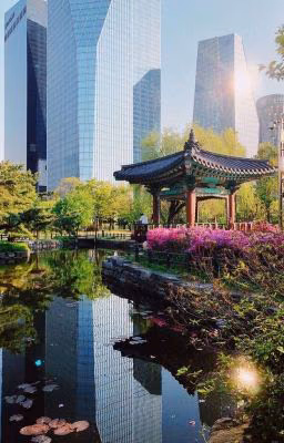 Южная Корея 🇰🇷