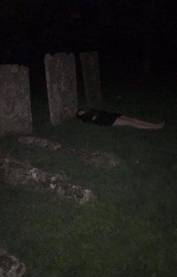 Разговор с призраком