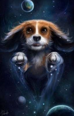 Книга сказок