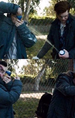 Gallavich|История нашей любви