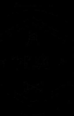 Последний Серафим. История Акане