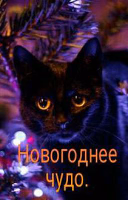 Новогоднее чудо.