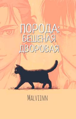 Порода: бешеная дворовая
