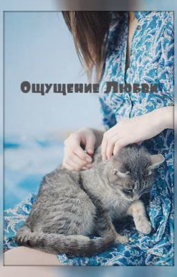 Ощущение Любви