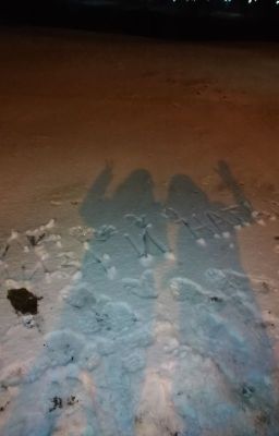 Снежная уточка