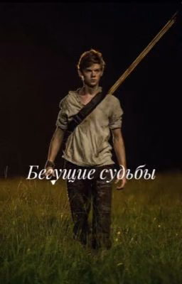 Бегущие судьбы
