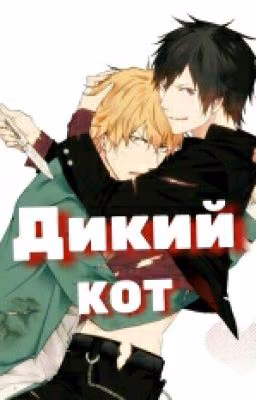Дикий кот