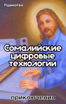 Сомалийские цифровые технологии