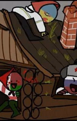 Мы и Countryhumans