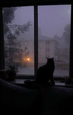 Дождливый вечер и курьер за углом..