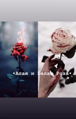 •Алая и Белая Роза