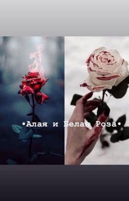 •Алая и Белая Роза