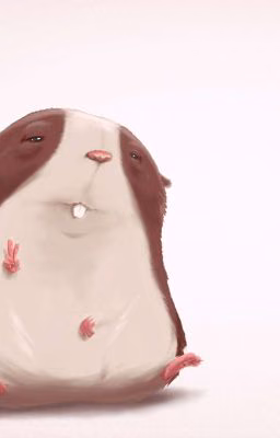 Дневник Похудения Хомячка 🐹