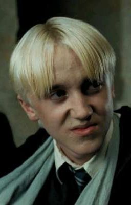 Не Стандартно🐍🍏