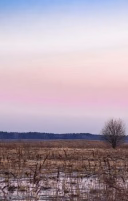 Красота в мелочах