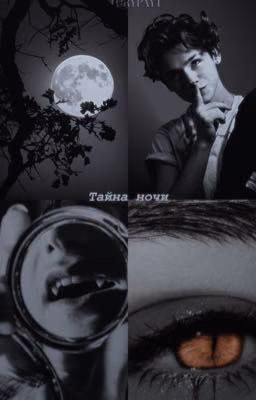 Тайна ночи / Payton Moormeier
