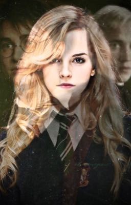 Правильное общество