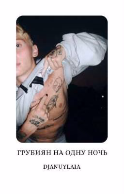 Грубиян на одну ночь D/J