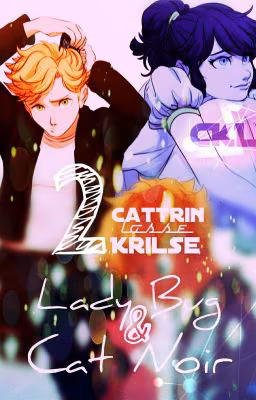 Lady Bug and Cat Noir •|2|•