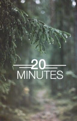 20 minutes