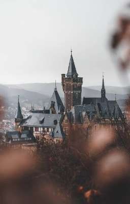 Правила были созданы, чтобы она их нарушила [Королевство Джой] 