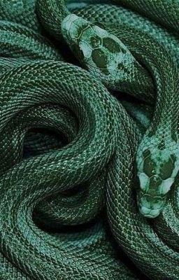 Другая история Гарри Поттера