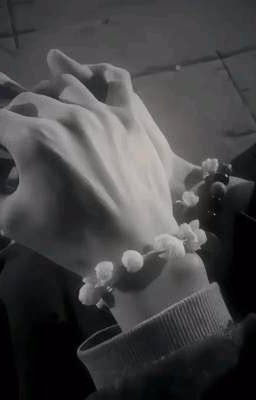 Влюблён в избранного♡ || Драрри