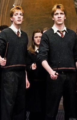 Любовь слишком жестока