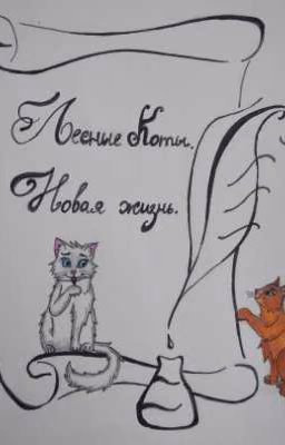 Лесные Коты. Новая жизнь.