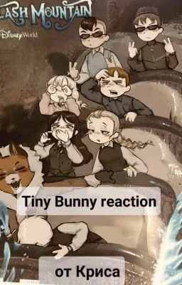 Tiny bunny reaction