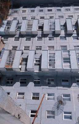 Литература (стих)