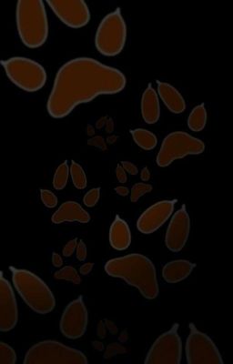 Пятый номер