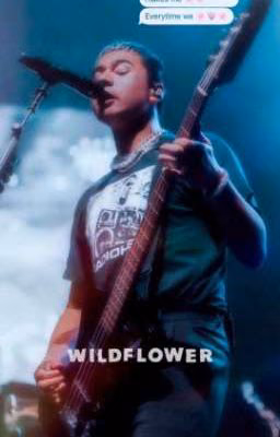 my wildflower / ch