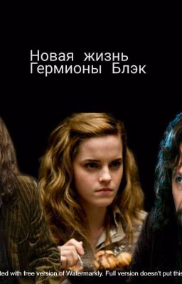 Новая жизнь Гермионы Блэк