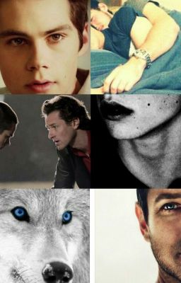 Отношения и решения