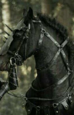 Трансформеры:Дерби в Авалоре.