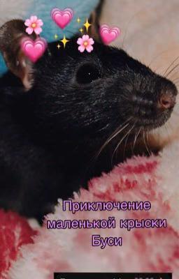 Приключение маленькой крыски Буси.🐭