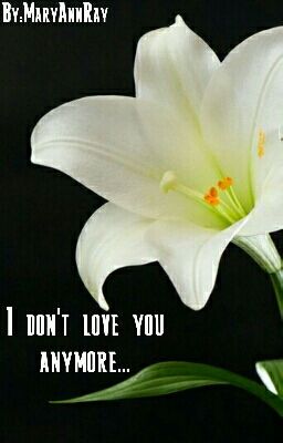 Я больше тебя не люблю...