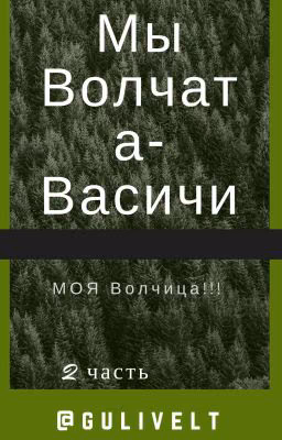 Мы Волчата-Васичи