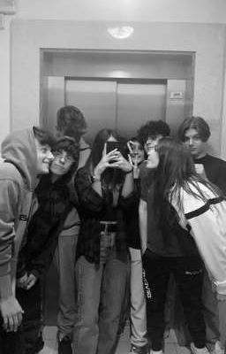 новоя жизнь лучших друзей